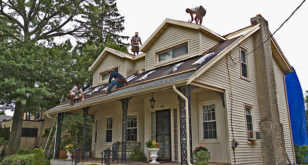 Roof Gutter Cleaning in Wolfhurst, OH