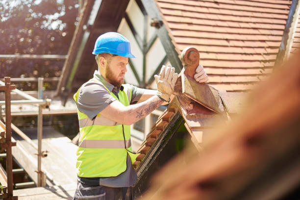 Best Roof Gutter Cleaning  in Wolfhurst, OH